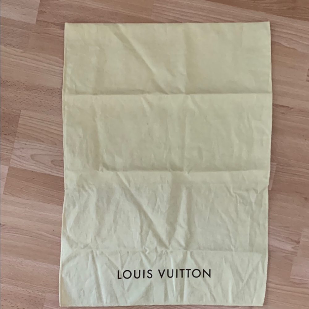 Louis Vuitton Storage Bag